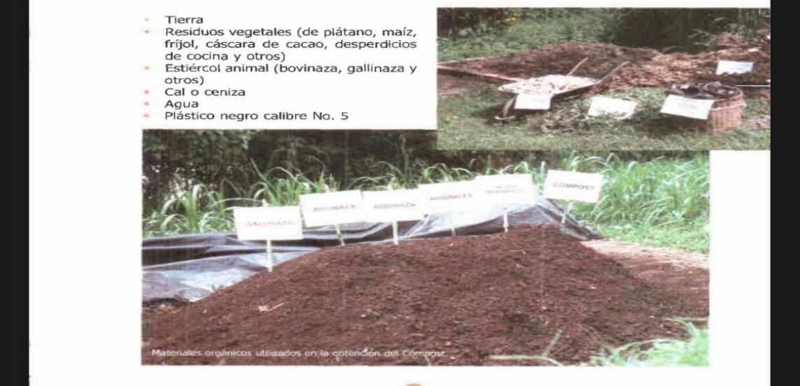 Imagen que contiene señal, árbol

El contenido generado por IA puede ser incorrecto.