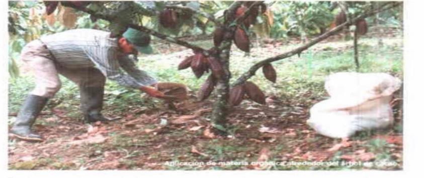 Imagen que contiene pasto, exterior, animal, reptil

El contenido generado por IA puede ser incorrecto.